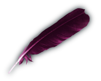 Purple Feather